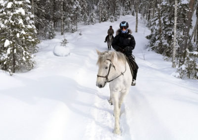 Promenade à cheval dans la neige en Laponie suédoise