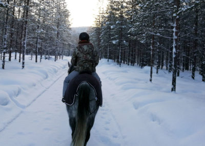 Balade à cheval avec Umiko dans la forêt suédoise
