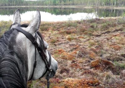 Umiko, notre cheval, devant rivière Örån, en Laponie suédoise