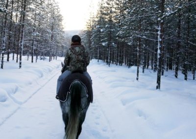 Séance d'équitation hivernale en forêt de Laponie suédoise