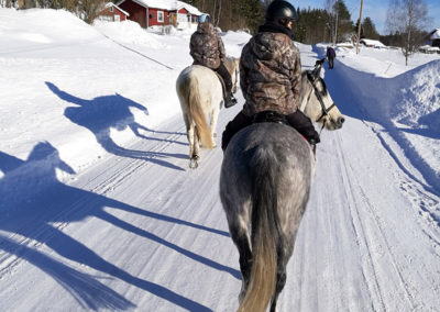 promenade à cheval en Suède